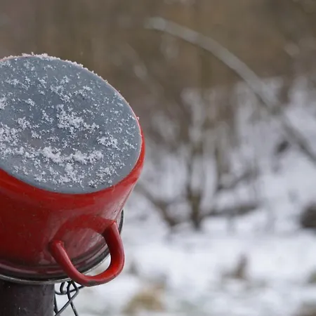 Gorski Sad - U Bazyla ピエホビツェ