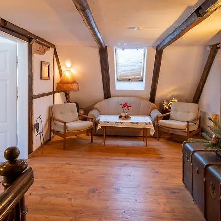 Gorski Sad - U Bazyla