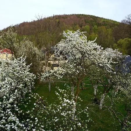 Gorski Sad - U Bazyla 3*