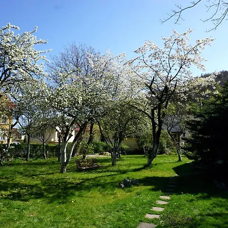 Gorski Sad - U Bazyla Piechowice (Karkonosze)