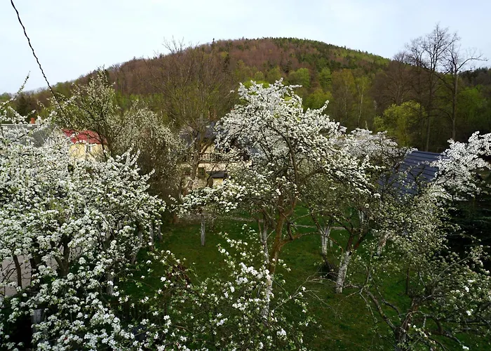 Górski Sad - U Bazyla 3*